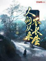 �˼����������