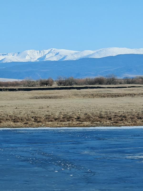 һ�������