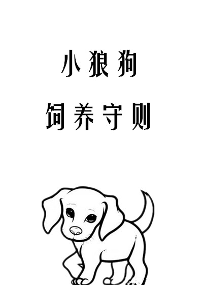 С�ǹ���������