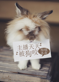 �������챻��ҧ