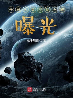 ���ֻ�������ʯ���ع�