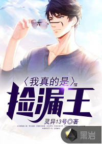 ������Ǽ�©����������