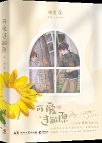 �ɰ�����ԭ