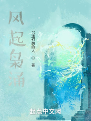 ������ӿ