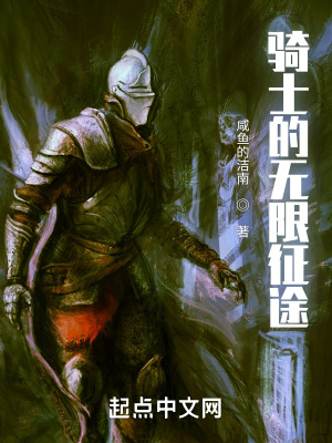 ��ʿ��������;