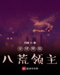 ȫ���٣��˻�����