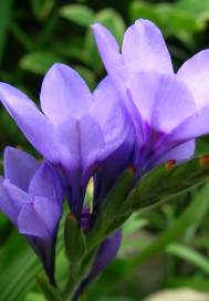 �˴�У�ݻ��ָ�