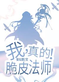 ��,��Ƥ��ʦ,���