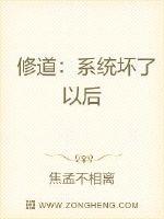 �޵���ϵͳ�����Ժ�