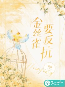 ½�����С˵����Ķ�������