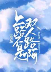 ��·����˫��·��