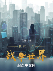 ����һ��ս������