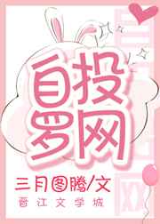 ��Ͷ����