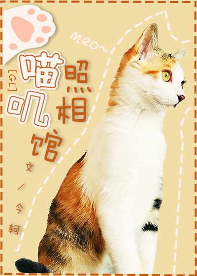 ��ߴ�����