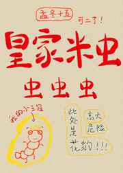 �ʼ��׳棬����