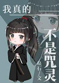 ����Ĳ�������