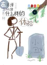 ڸ̷һʲô