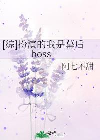 []ݵĻboss