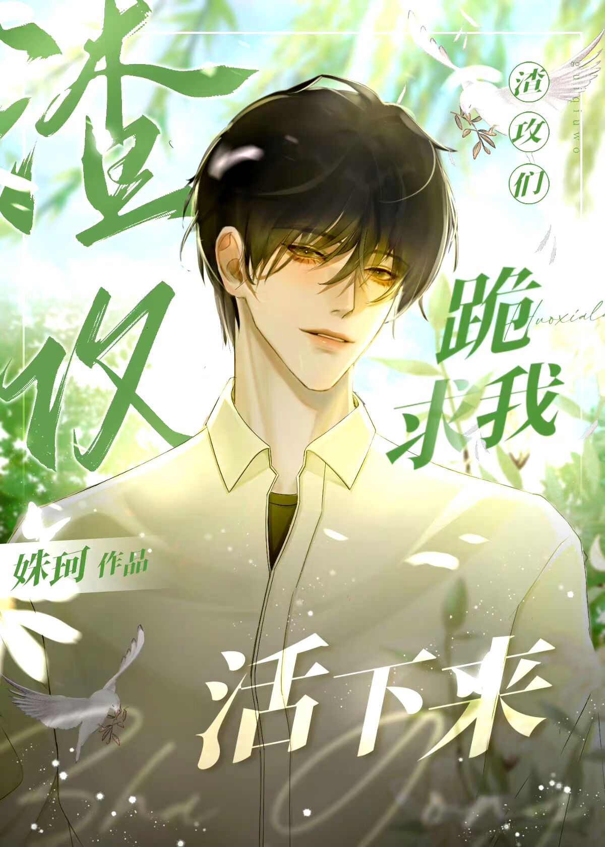 �����������޳�������