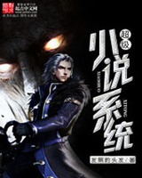 ����С˵ϵͳ