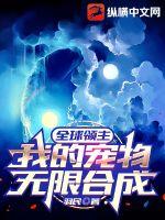 ȫ���������ҵĳ������޺ϳ�