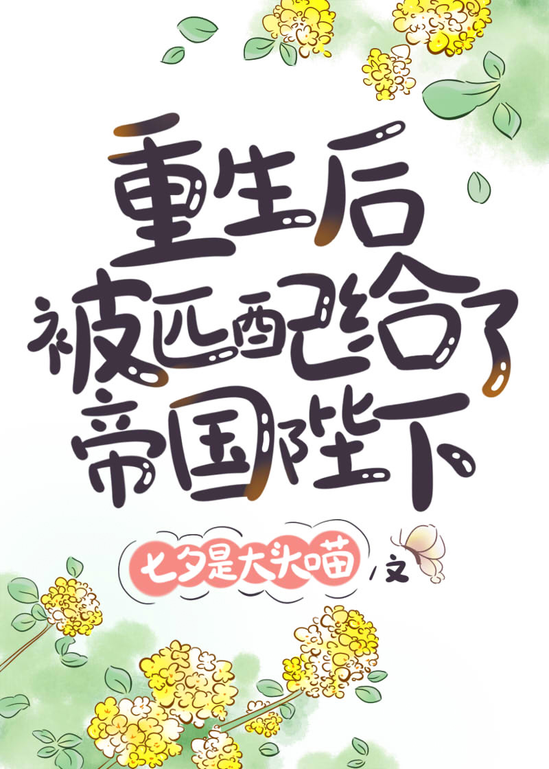 ƥ˵۹