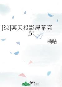 []ĳͶӰĻ