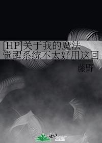 [HP]ҵħϵͳ̫