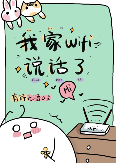 ҼWiFi˵