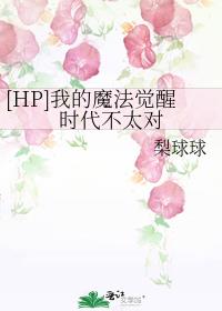 [HP]ҵħʱ̫