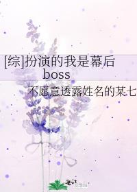 []ݵĻboss