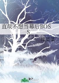 ֱղ뵱ĻBOSS