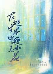 ò绨