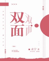 ˫