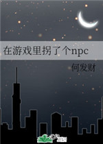 Ϸ˸npc