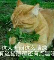 ͷ˱abo