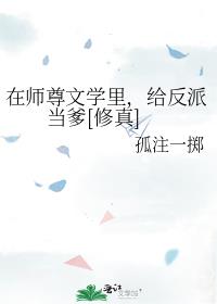 ʦѧɵ[]