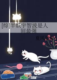 []ǲ˼ǿ